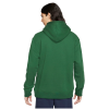 Худи Nike SB GFX Hoodie DA4211-341 (gorge green)