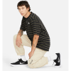 Штаны Nike SB Y2K GFX Track Pant CV4332-224 (grain-velvet brown)