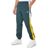 Спортивные Штаны Nike Windrunner Signature Woven Pant CJ5484-364 (seaweed-university gold)