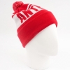 Шапка Anteater Hat Pom ant-hatpom-red (red)