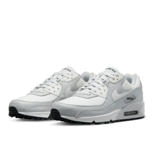 Кроссовки Nike Air Max 90 GTX DJ9779-003 (photon dust-summit white)