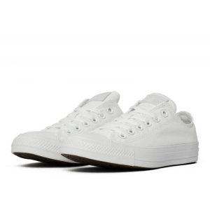 Кеды Converse Chuck Taylor All Star Seasonal 1U647 (white monochrome)