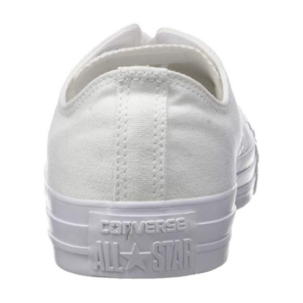Кеды Converse Chuck Taylor All Star Seasonal 1U647 (white monochrome)