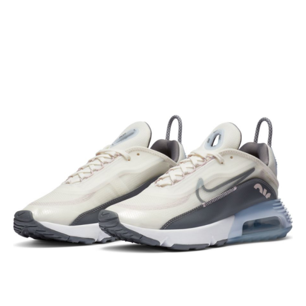 Кроссовки Женские Nike W Air Max 2090 CT1290-101 (sail-cool grey-ghost)