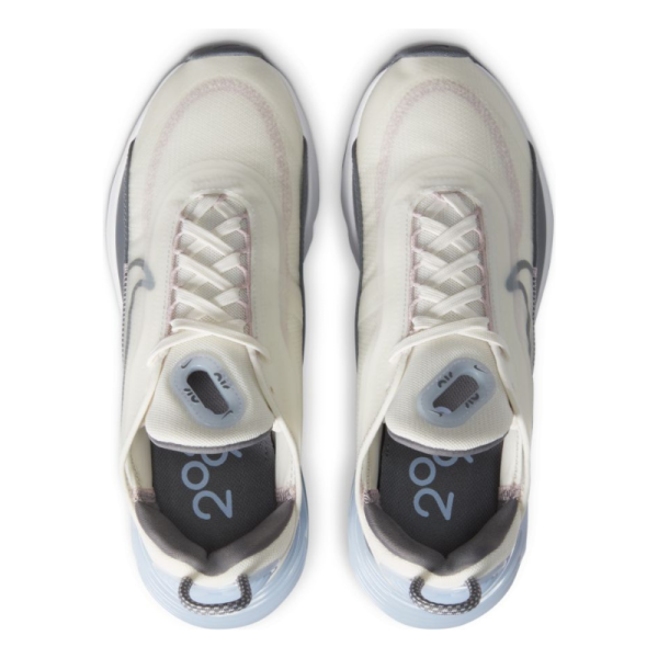 Кроссовки Женские Nike W Air Max 2090 CT1290-101 (sail-cool grey-ghost)