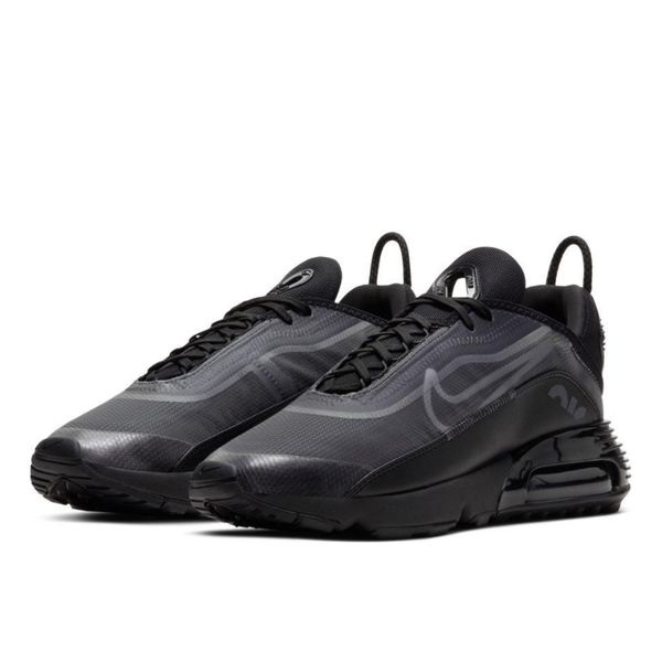 Кроссовки Nike Air Max 2090 BV9977-001 (black-white-wolf grey)